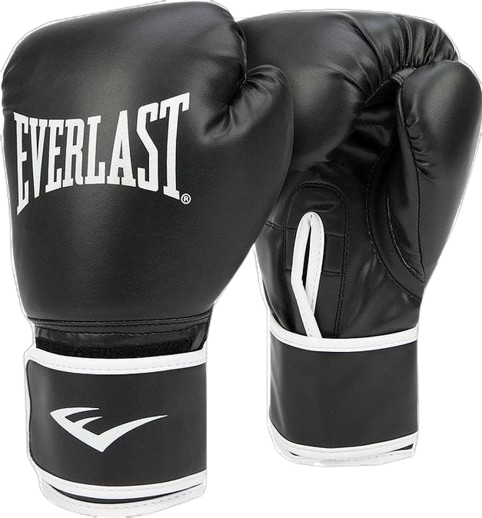 Steel Fist 12oz (Everlast)